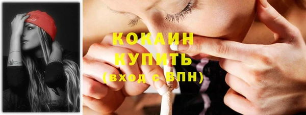 твердый Елизово