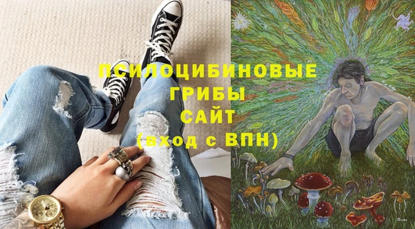 твердый Елизово