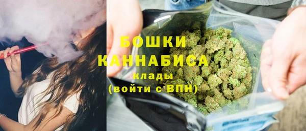 эйфоретик Ельня
