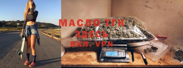 эйфоретик Ельня