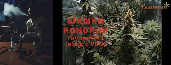 эйфоретик Ельня
