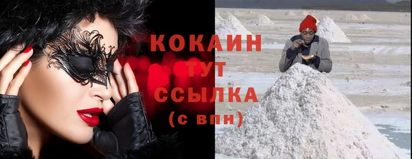 эйфоретик Ельня