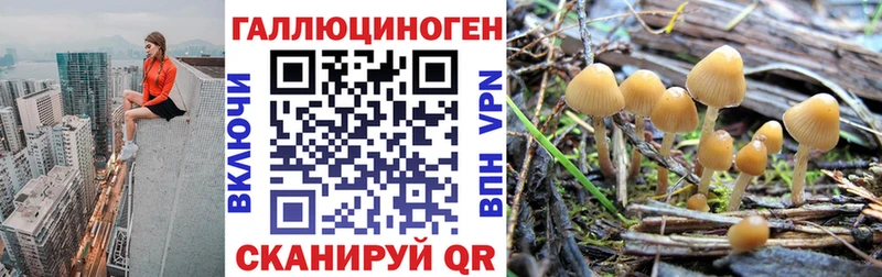 Купить где  Дзержинский  Галлюциногенные грибы Magic Shrooms 